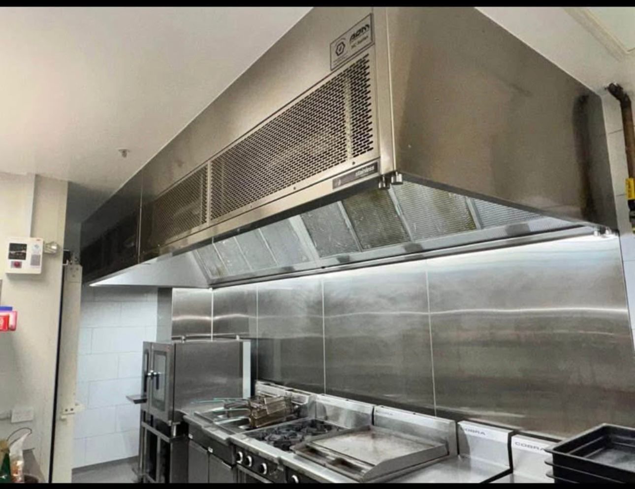 Canopy Deep Clean