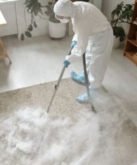 Carpet Cleaning & Upholstery